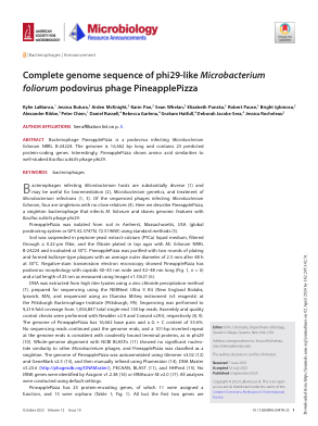 phi29 样 Microbacterium foliorum podovirus 噬菌体的完整基因组序列 PineapplePizza